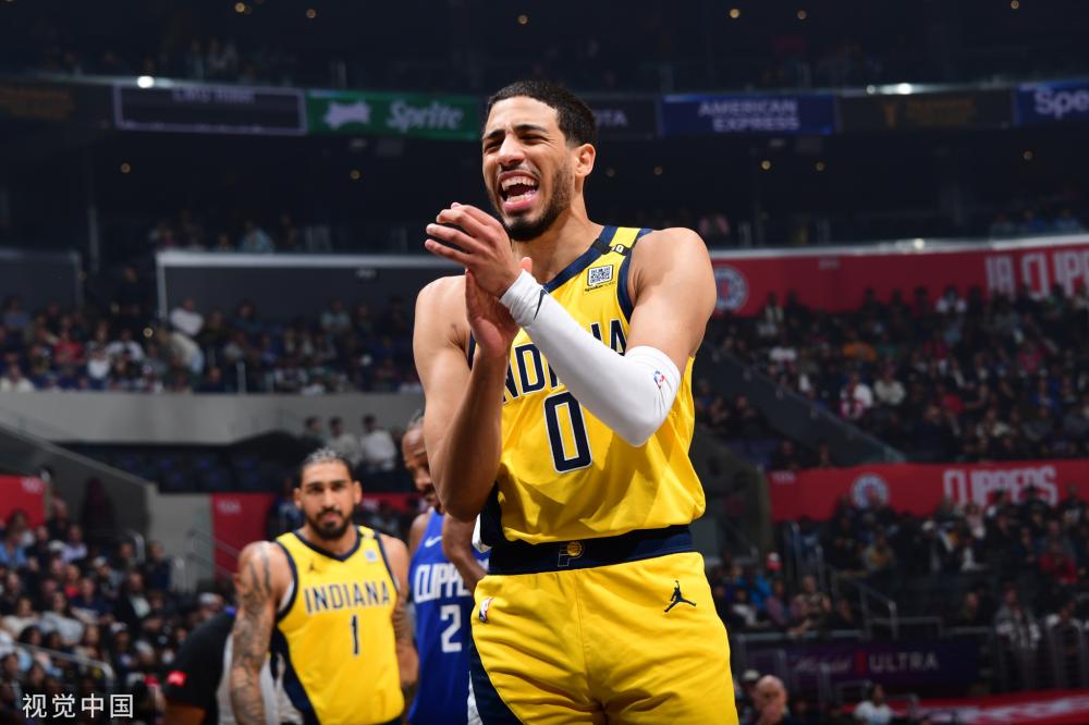 现出坚韧的 现出坚韧的